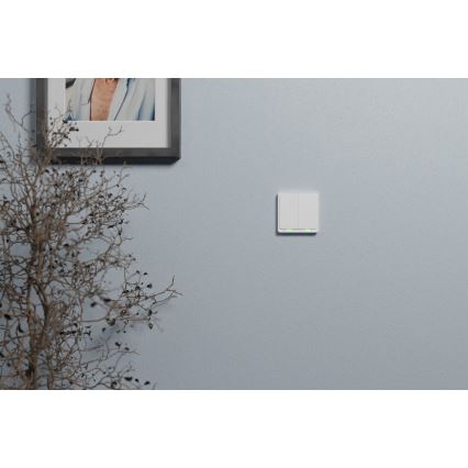 TESLA Smart - Смарт домашен превключвател 2P 230V Zigbee