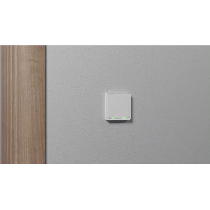 TESLA Smart - Смарт домашен превключвател 2P 230V Zigbee