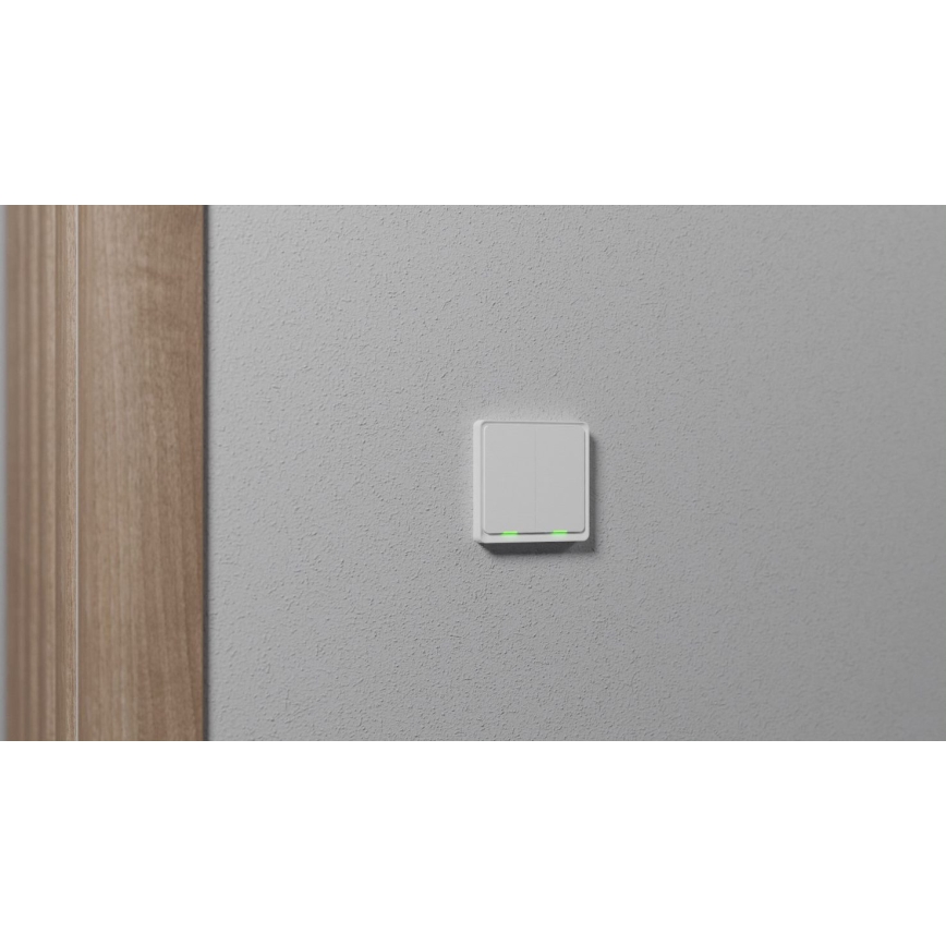 TESLA Smart - Смарт домашен превключвател 2P 230V Zigbee