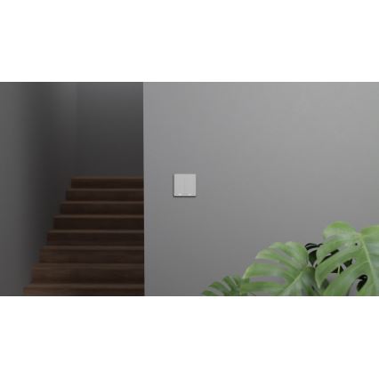 TESLA Smart - Смарт домашен превключвател 2P 230V Zigbee