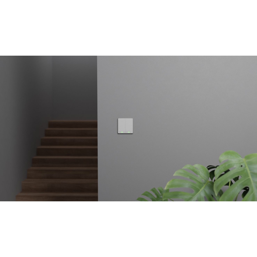 TESLA Smart - Смарт домашен превключвател 2P 230V Zigbee
