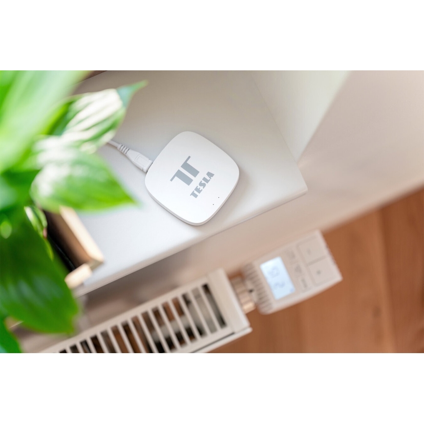 TESLA Smart - Смарт портал Hub Smart Zigbee Wi-Fi