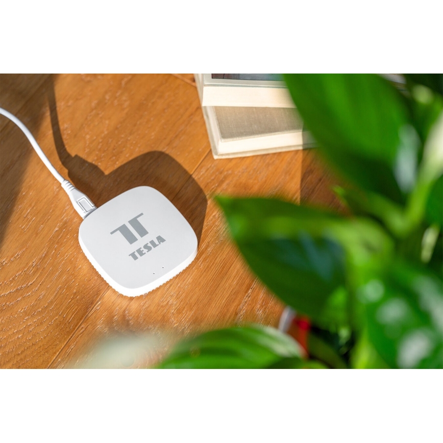 TESLA Smart - Смарт портал Hub Smart Zigbee Wi-Fi