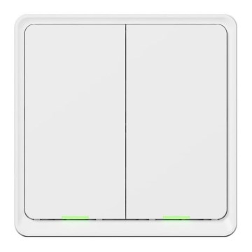 TESLA Smart - Умен двуполюсен ключ 2P 230V с Wi-Fi