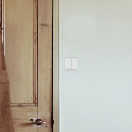 TESLA Smart - Умен двуполюсен ключ 2P 230V с Wi-Fi