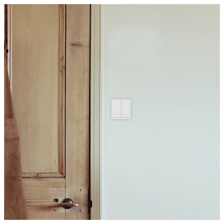 TESLA Smart - Умен двуполюсен ключ 2P 230V с Wi-Fi