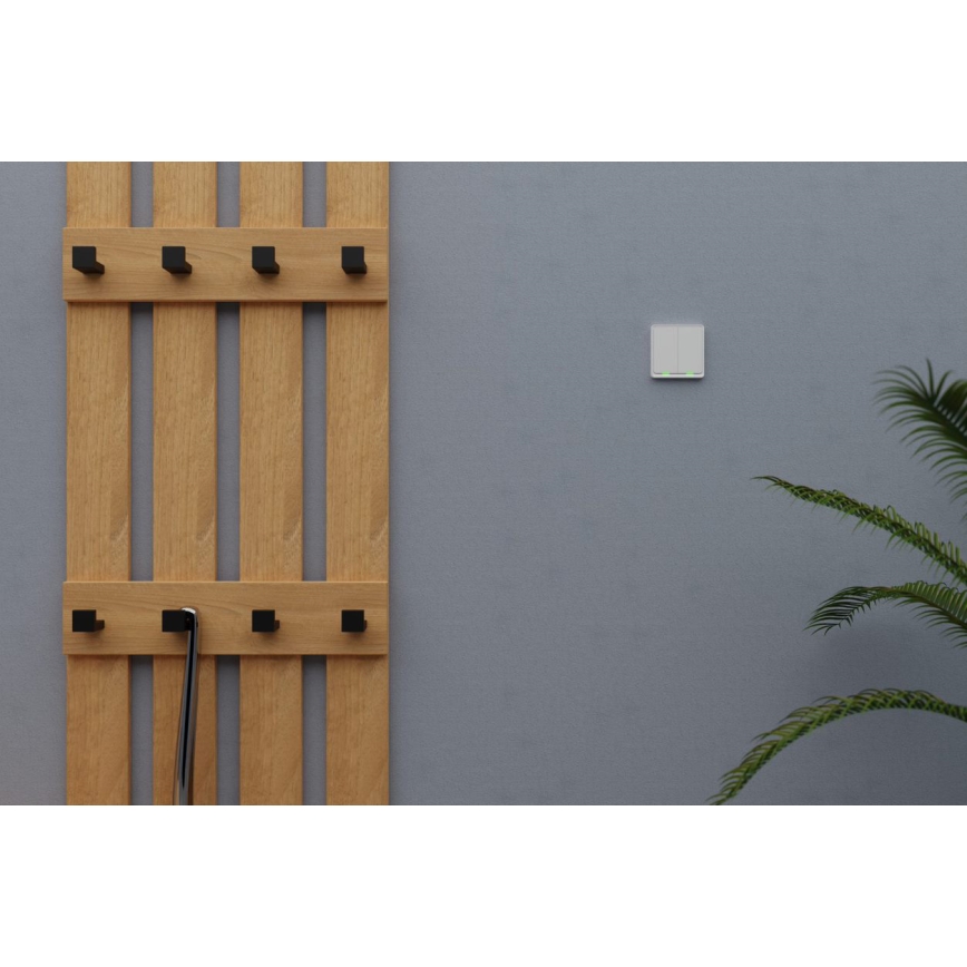 TESLA Smart - Умен двуполюсен ключ 2P 230V с Wi-Fi