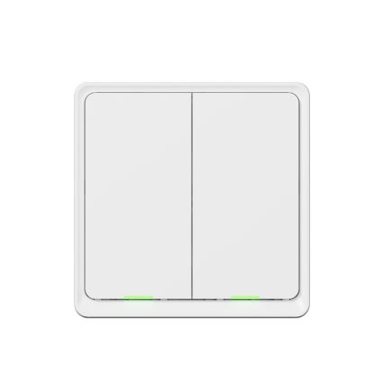 TESLA Smart - Умен двуполюсен ключ 2P 230V с Wi-Fi