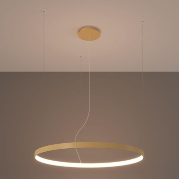 Thoro TH.174 - LED Пендел RIO LED/50W/230V CRI 90 3000K Ø 78 cm златист