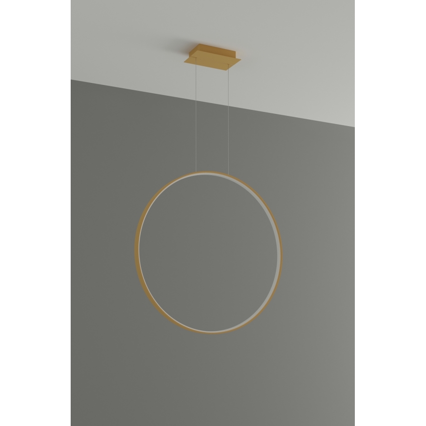 Thoro TH.175 - LED Пендел RIO LED/50W/230V CRI 90 3000K Ø 78 cm златист