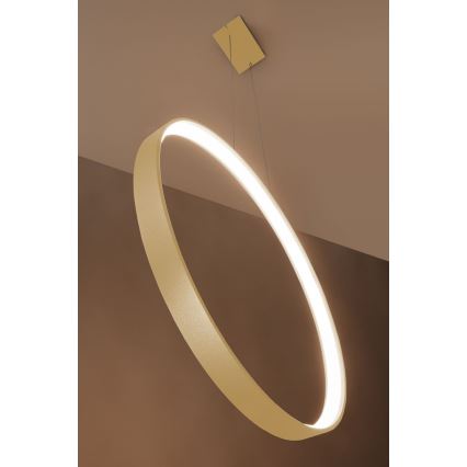 Thoro TH.175 - LED Пендел RIO LED/50W/230V CRI 90 3000K Ø 78 cm златист