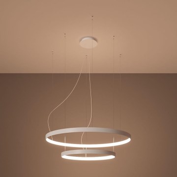 Thoro TH.176 - LED Пендел RIO LED/80W/230V CRI 90 3000K бял