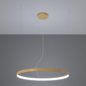 Thoro TH.181 - LED  Пендел RIO LED /50W/230V CRI 95 4000K Ø 78 cm златист