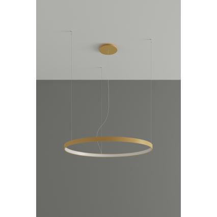 Thoro TH.181 - LED  Пендел RIO LED /50W/230V CRI 95 4000K Ø 78 cm златист