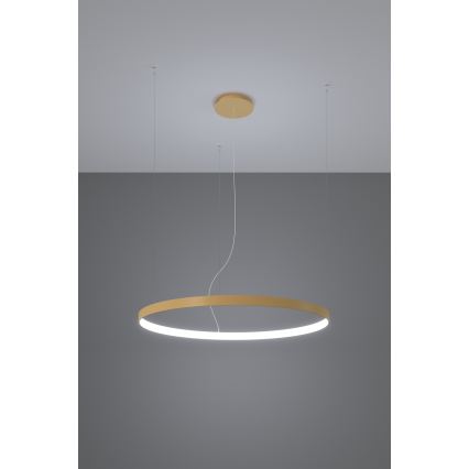 Thoro TH.181 - LED  Пендел RIO LED /50W/230V CRI 95 4000K Ø 78 cm златист