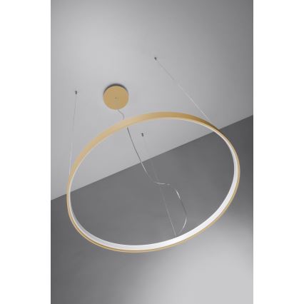 Thoro TH.181 - LED  Пендел RIO LED /50W/230V CRI 95 4000K Ø 78 cm златист