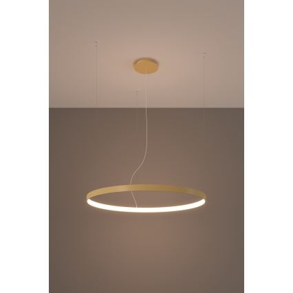 Thoro TH.216 - LED Пендел RIO LED/30W/230V CRI 90 3000K Ø 55 cm златист