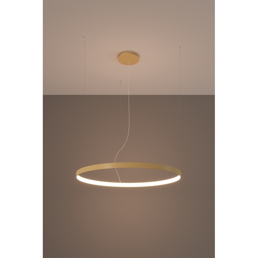 Thoro TH.216 - LED Пендел RIO LED/30W/230V CRI 90 3000K Ø 55 cm златист