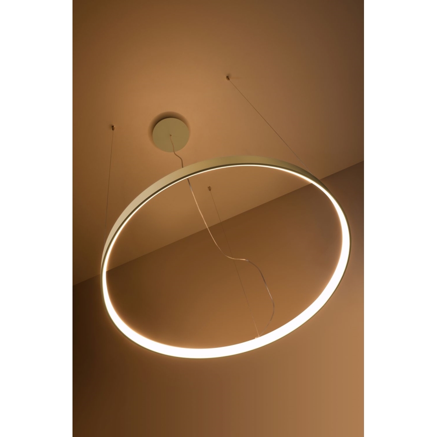 Thoro TH.216 - LED Пендел RIO LED/30W/230V CRI 90 3000K Ø 55 cm златист