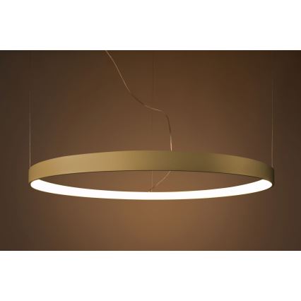 Thoro TH.216 - LED Пендел RIO LED/30W/230V CRI 90 3000K Ø 55 cm златист