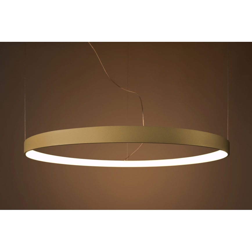 Thoro TH.216 - LED Пендел RIO LED/30W/230V CRI 90 3000K Ø 55 cm златист