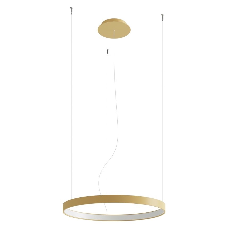 Thoro TH.216 - LED Пендел RIO LED/30W/230V CRI 90 3000K Ø 55 cm златист