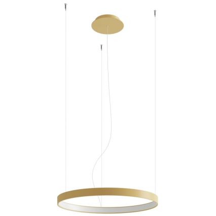 Thoro TH.217 - LED Пендел RIO LED/30W/230V CRI 95 4000K Ø 55 cm златист