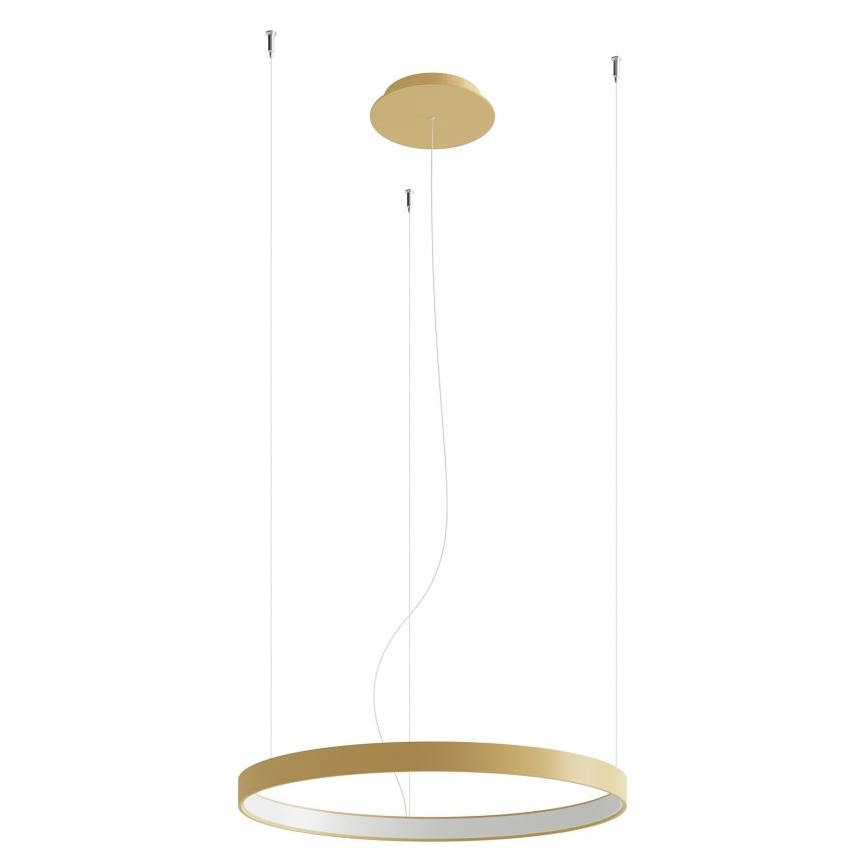 Thoro TH.217 - LED Пендел RIO LED/30W/230V CRI 95 4000K Ø 55 cm златист