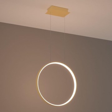 Thoro TH.220 - LED Пендел RIO LED/30W/230V CRI 90 3000K Ø 55 cm златист