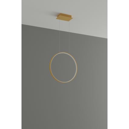Thoro TH.220 - LED Пендел RIO LED/30W/230V CRI 90 3000K Ø 55 cm златист
