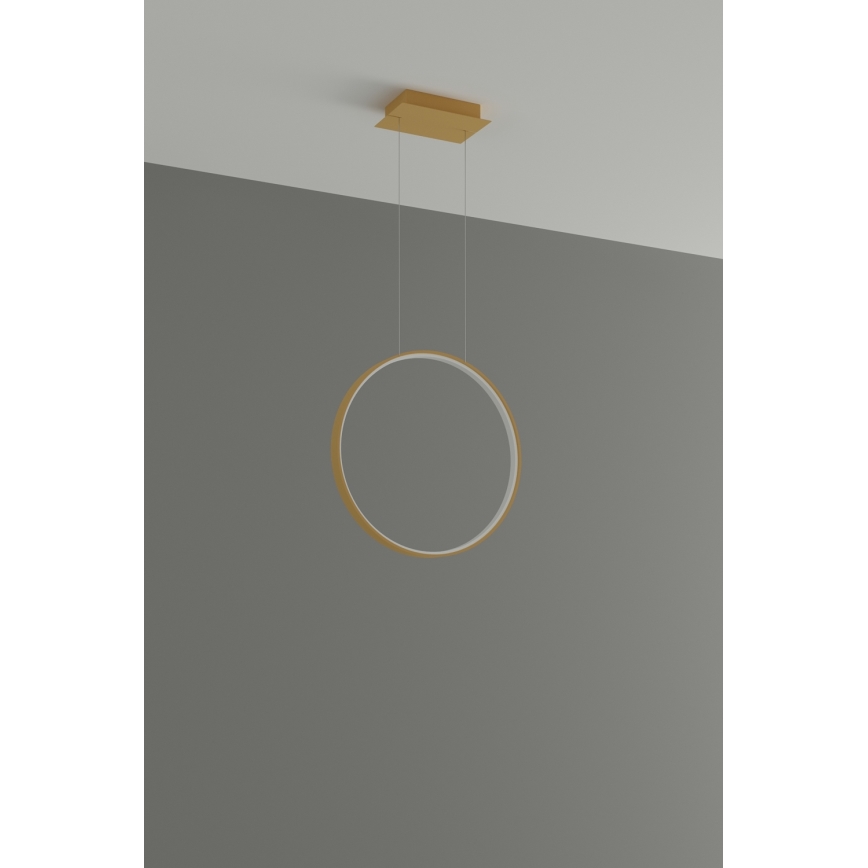 Thoro TH.220 - LED Пендел RIO LED/30W/230V CRI 90 3000K Ø 55 cm златист
