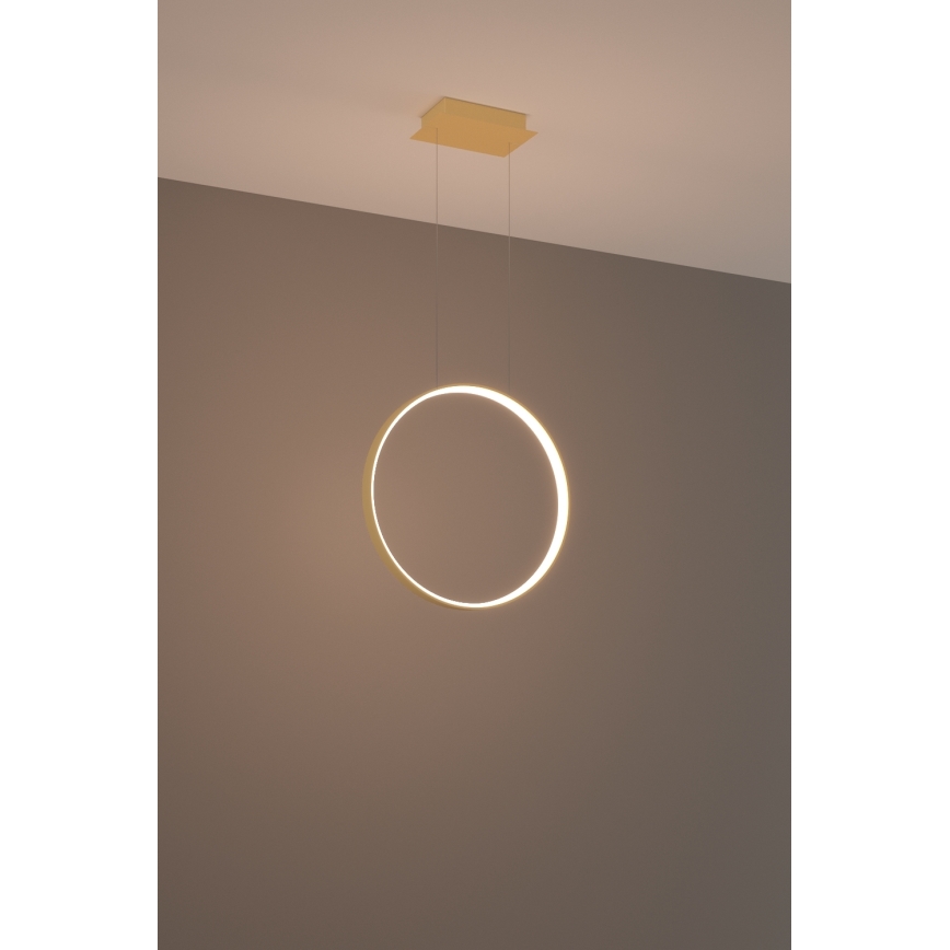 Thoro TH.220 - LED Пендел RIO LED/30W/230V CRI 90 3000K Ø 55 cm златист