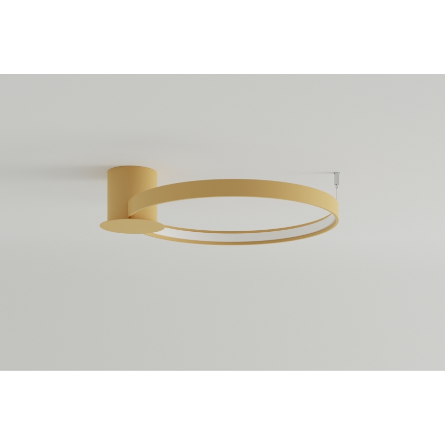 Thoro TH.222 - LED Плафониера RIO LED/30W/230V CRI 90 3000K Ø 55 cm златист