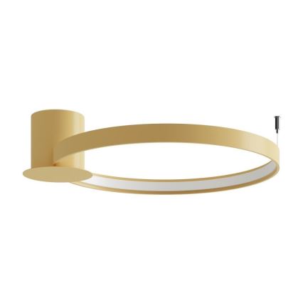 Thoro TH.222 - LED Плафониера RIO LED/30W/230V CRI 90 3000K Ø 55 cm златист