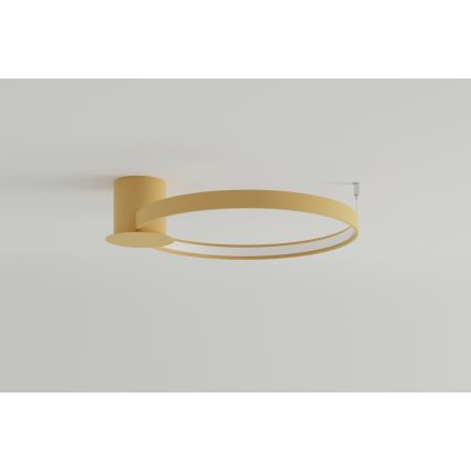 Thoro TH.223 - LED Плафониера RIO LED/30W/230V CRI 95 4000K Ø 55 cm златист