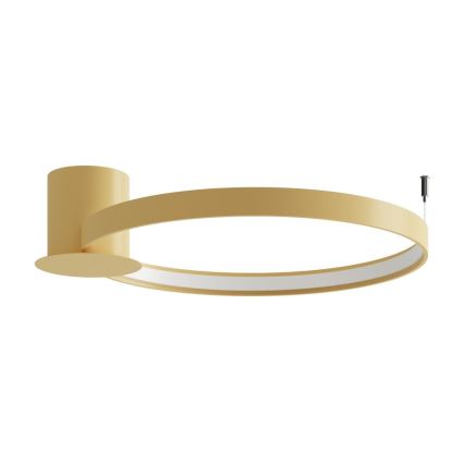 Thoro TH.223 - LED Плафониера RIO LED/30W/230V CRI 95 4000K Ø 55 cm златист