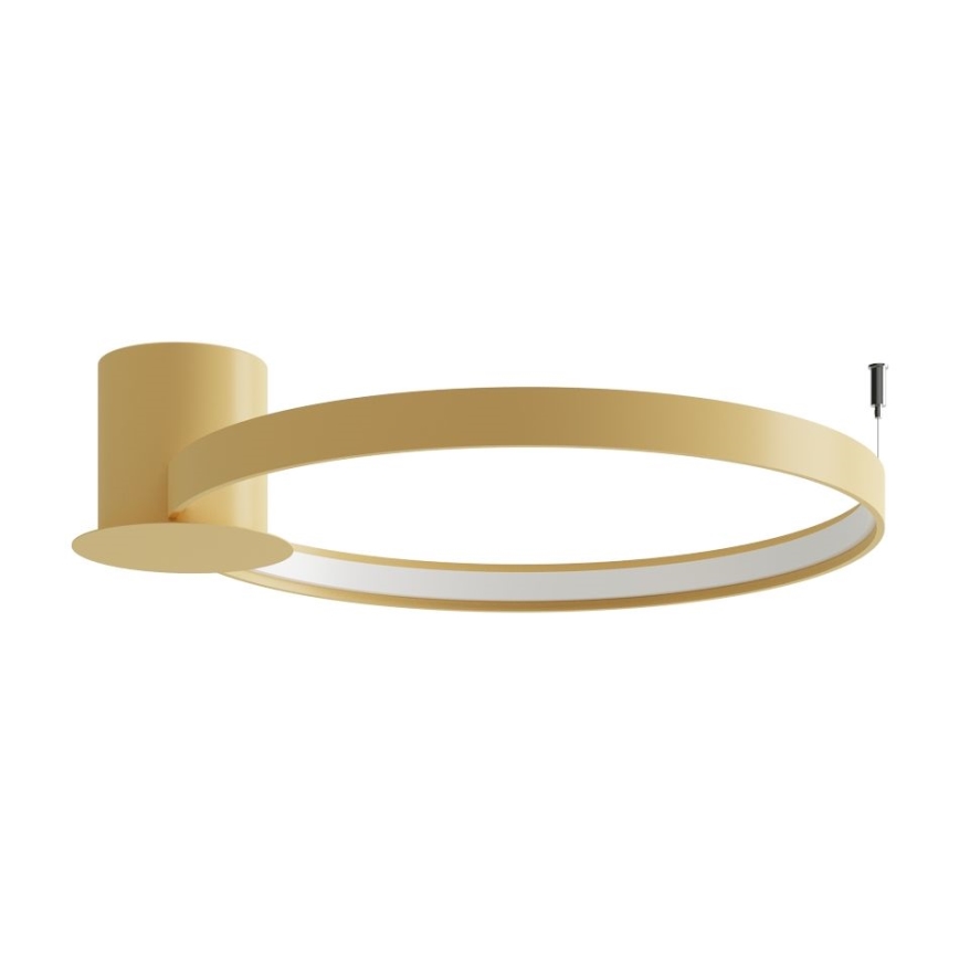 Thoro TH.223 - LED Плафониера RIO LED/30W/230V CRI 95 4000K Ø 55 cm златист