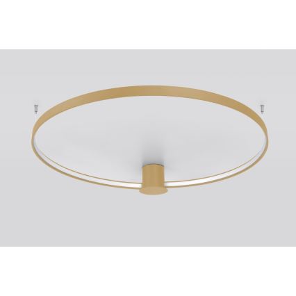 Thoro TH.223 - LED Плафониера RIO LED/30W/230V CRI 95 4000K Ø 55 cm златист