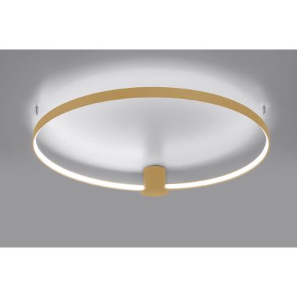 Thoro TH.223 - LED Плафониера RIO LED/30W/230V CRI 95 4000K Ø 55 cm златист