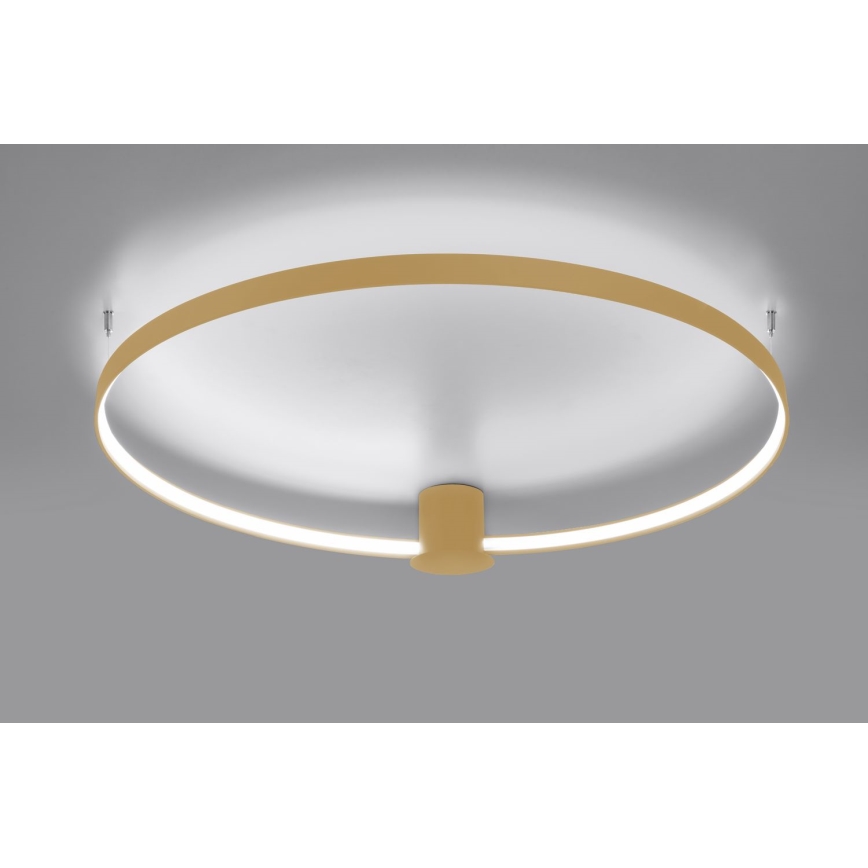 Thoro TH.223 - LED Плафониера RIO LED/30W/230V CRI 95 4000K Ø 55 cm златист
