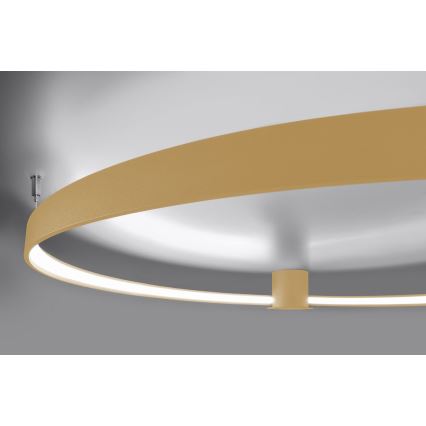 Thoro TH.223 - LED Плафониера RIO LED/30W/230V CRI 95 4000K Ø 55 cm златист
