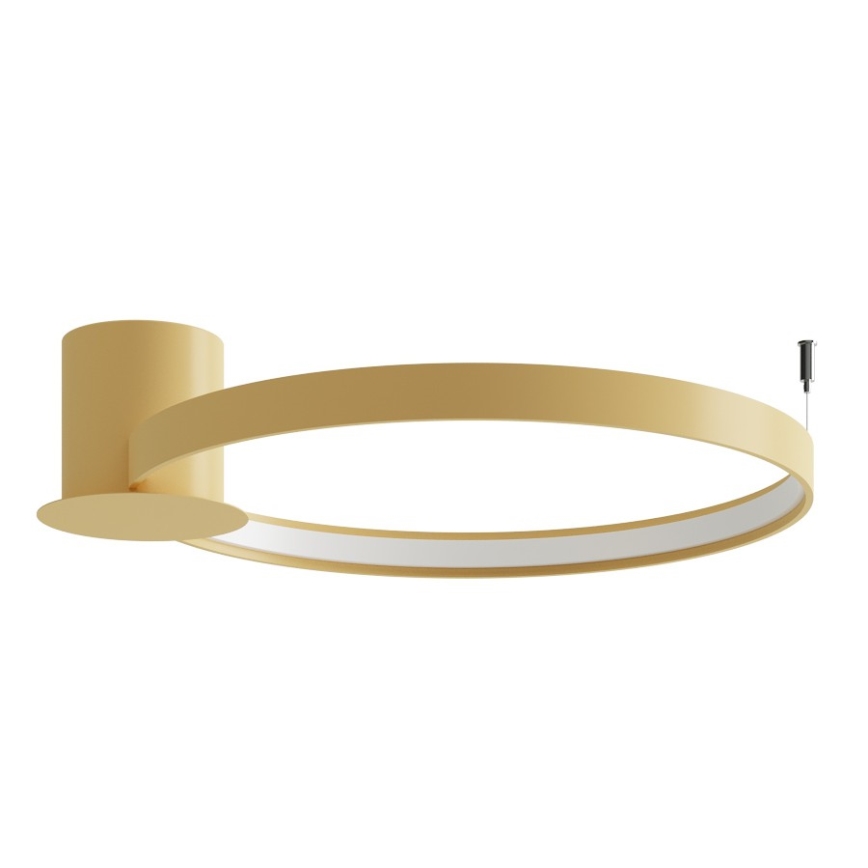 Thoro TH.223 - LED таванно осветително тяло RIO LED/30W/230V CRI 98 4000K диаметър 55 см златно