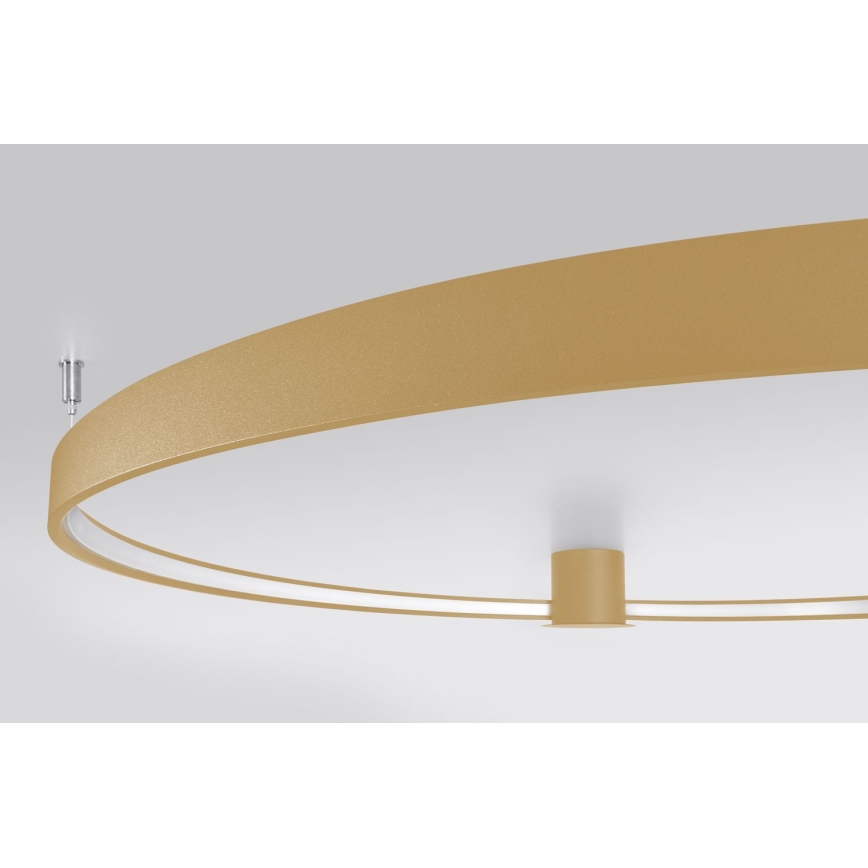 Thoro TH.224 - LED Плафониера RIO LED/50W/230V CRI 90 3000K Ø 78 cm златист