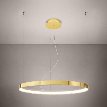 Thoro TH.246 - LED Пендел RIO LED/50W/230V CRI 90 3000K Ø 78 cm златист