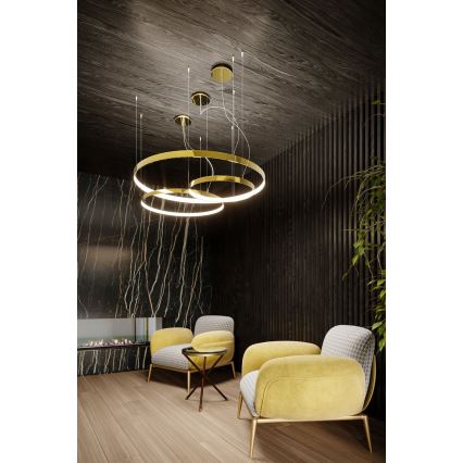 Thoro TH.246 - LED Пендел RIO LED/50W/230V CRI 90 3000K Ø 78 cm златист
