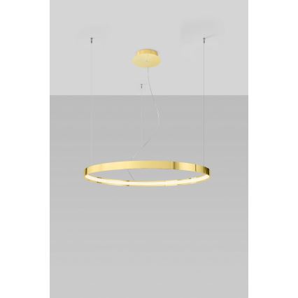 Thoro TH.246 - LED Пендел RIO LED/50W/230V CRI 90 3000K Ø 78 cm златист