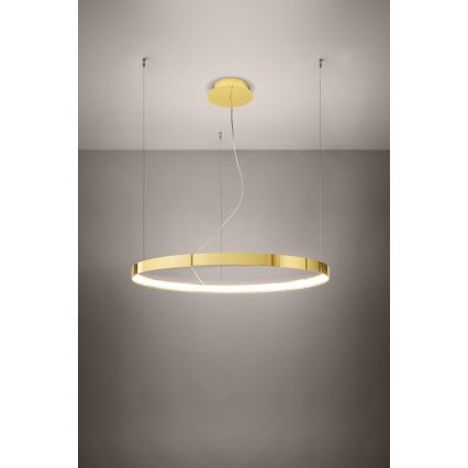 Thoro TH.246 - LED Пендел RIO LED/50W/230V CRI 90 3000K Ø 78 cm златист