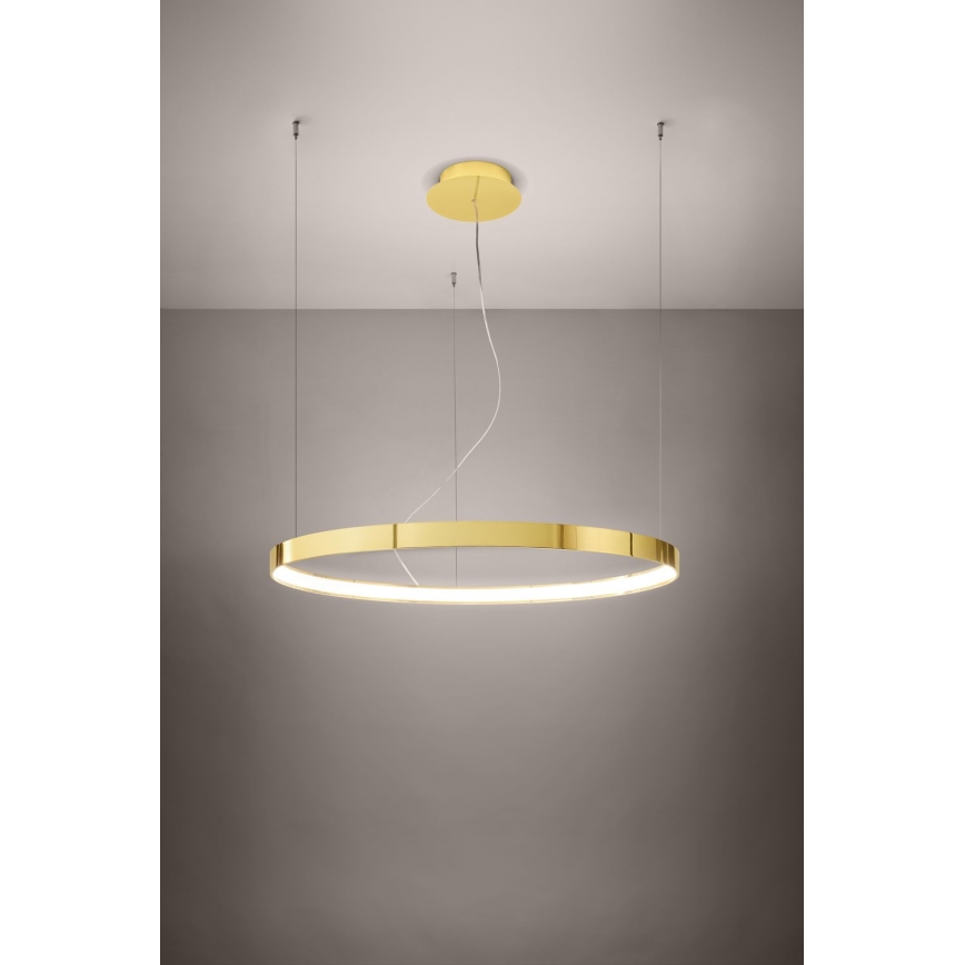 Thoro TH.246 - LED Пендел RIO LED/50W/230V CRI 90 3000K Ø 78 cm златист