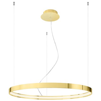 Thoro TH.246 - LED Пендел RIO LED/50W/230V CRI 90 3000K Ø 78 cm златист
