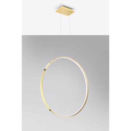 Thoro TH.248 - LED Пендел RIO LED/50W/230V CRI 90 3000K Ø 78 cm златист